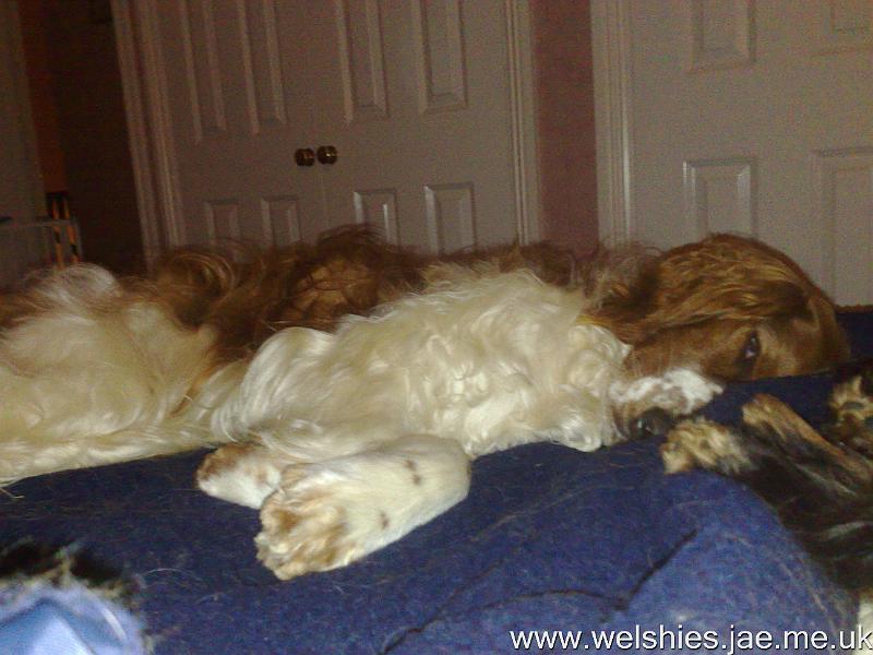 2010-11-01 02.jpg - Definitely like this idea